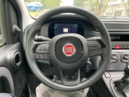 
										FIAT Panda 1.0cc 70cv Hybrid con ADAS full									
