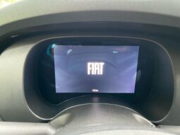 
										FIAT Panda 1.0cc 70cv Hybrid con ADAS full									