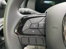 
										FIAT Panda 1.0cc 70cv Hybrid con ADAS full									