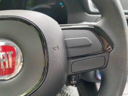 
										FIAT Panda 1.0cc 70cv Hybrid con ADAS full									