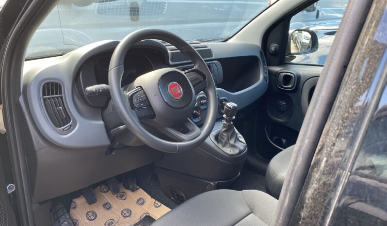 
								FIAT Panda 1.0cc 70cv Hybrid con ADAS full									