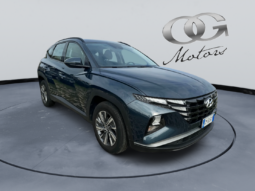 
										HYUNDAI Tucson 1.6 Diesel 115cv X Tech full									