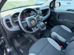 
										FIAT PANDA My21 1.0cc 70cv Hybrid full									