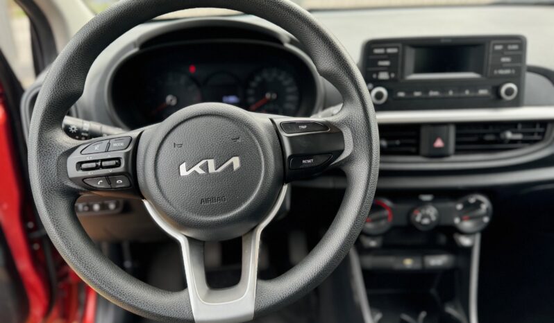 
								KIA Picanto 5P 1.0 66cv Urban full									
