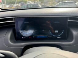 
										HYUNDAI Tucson 1.6 Diesel 115cv X Tech full									