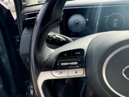 
										HYUNDAI Tucson 1.6 Diesel 115cv X Tech full									