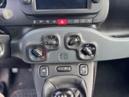 
										FIAT Panda 1.0cc 70cv HYBRID CROSS full									