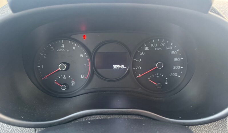 
								KIA Picanto 5p my23 1.0cc 66cv MT Urban full									