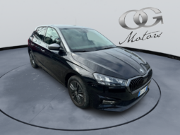 
										SKODA FABIA 1.0 TSI 95cv STYLE full									