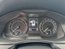 
										SKODA KAMIQ 1.0cc TSI 110cv DSG Ambition full									