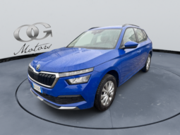 
										SKODA KAMIQ 1.0cc TSI 110cv DSG Ambition full									