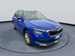 
										SKODA KAMIQ 1.0cc TSI 110cv DSG Ambition full									