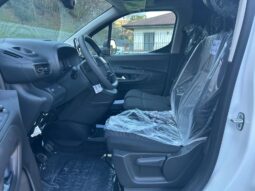 
										FIAT Doblo Serie 3 Van Lh1 1.5 Bluehdi 130cv Mt6 full									