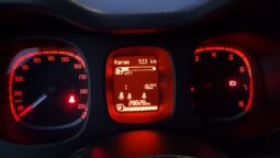 
										FIAT Panda 1.0cc 70cv HYBRID CITY CROSS full									