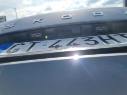 
										Skoda Kamiq 1.0cc TSI 95cv Selection full									