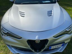 
										Alfa Romeo Stelvio 2.9cc V6 510cv Quadrifoglio Q4 Auto full									
