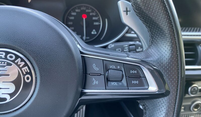 
								Alfa Romeo Stelvio 2.9cc V6 510cv Quadrifoglio Q4 Auto full									