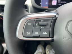 
										Jeep Avenger 1.2cc Ice 100cv Summit full									