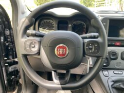 
										FIAT Panda 1.0cc 70cv HYBRID CITY CROSS full									