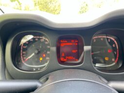 
										FIAT Panda 1.0cc 70cv HYBRID CITY CROSS full									