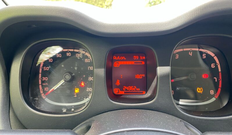 
								FIAT Panda 1.0cc 70cv HYBRID CITY CROSS full									