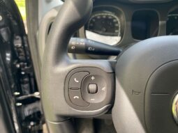 
										FIAT Panda 1.0cc 70cv HYBRID CITY CROSS full									
