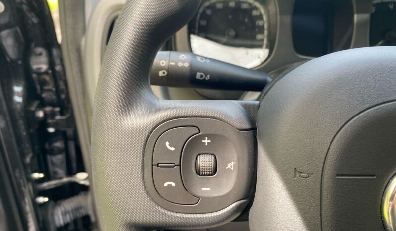 
								FIAT Panda 1.0cc 70cv HYBRID CITY CROSS full									