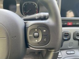 
										FIAT Panda 1.0cc 70cv HYBRID CITY CROSS full									