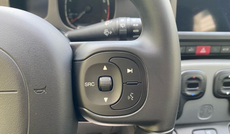 
								FIAT Panda 1.0cc 70cv HYBRID CITY CROSS full									