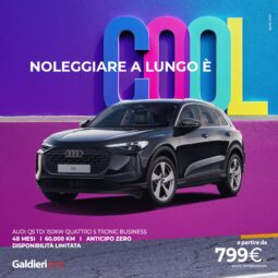 AUDI Q5 TDI 204CV QUATTRO S TRONIC BUSINESS