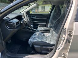 
										JEEP AVENGER 1.2cc MHEV 100cv SUMMIT full									