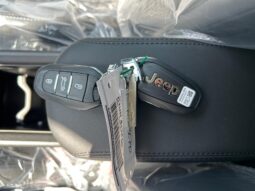 
										JEEP AVENGER 1.2cc MHEV 100cv SUMMIT full									