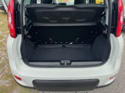 
										FIAT Panda 1.0cc 70cv Hybrid – EX DEMO full									