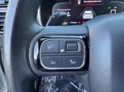 
										CITROEN C5 Aircross 1.5cc BlueHDi 130cv EAT8 Feel full									