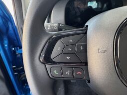 
										FIAT Panda 1.0cc 70cv HYBRID ADAS full									