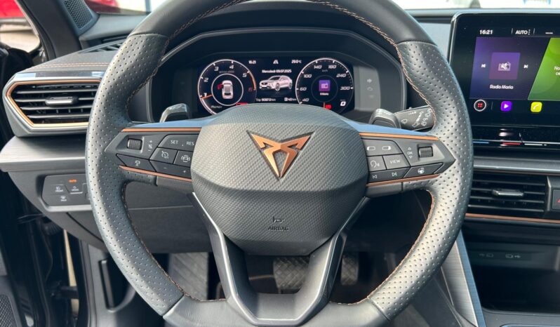 
								Cupra Formentor 2.0cc TDI 150cv DGS 4Drive full									