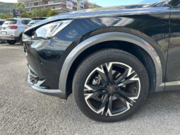 
										Cupra Formentor 2.0cc TDI 150cv DGS 4Drive full									