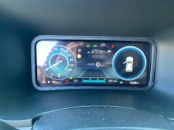 
										HYUNDAI Kona 1.0cc T-GDI MHEV 48V 2wd 120cv X Line full									