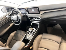 
										EMC (WAVE 3) 6 Sei 1.5cc Turbo 147cv CVT Autom. full									