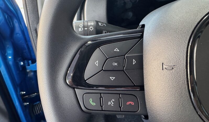 
								FIAT Panda 1.0cc 70cv Hybrid ADAS – Last Minute full									