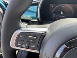 
										FIAT 600 HYBRID 1.2cc 100cv DCT Serie Speciale ICON full									