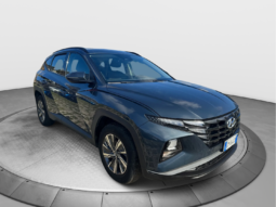 
										HYUNDAI Tucson 1.6 Diesel 115cv X Tech full									