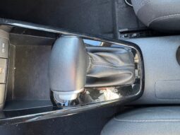 
										KIA STONIC 1.0cc MHEV 120cv DCT Automatic Style full									