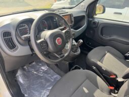 
										FIAT Panda 1.0cc 70cv HYBRID CROSS full									