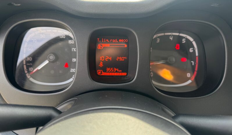 
								FIAT Panda 1.0cc 70cv HYBRID CROSS full									