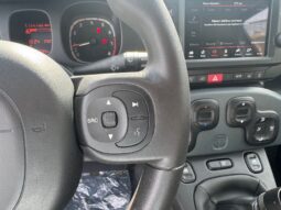 
										FIAT Panda 1.0cc 70cv HYBRID CROSS full									