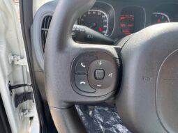 
										FIAT Panda 1.0cc 70cv HYBRID CROSS full									