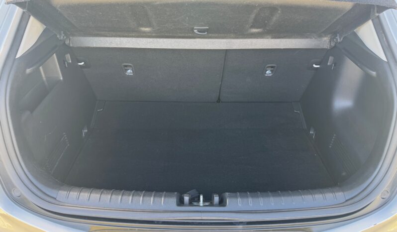 
								KIA STONIC 1.0cc MHEV 120cv DCT Automatic Style full									