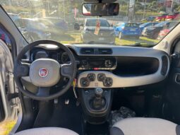 
										FIAT PANDA 1.2cc 69cv Benz./GPL Lounge full									