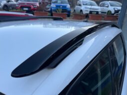 
										Citroen C3 Aircross 1.5cc BlueHDi 120cv EAT6 Shine full									